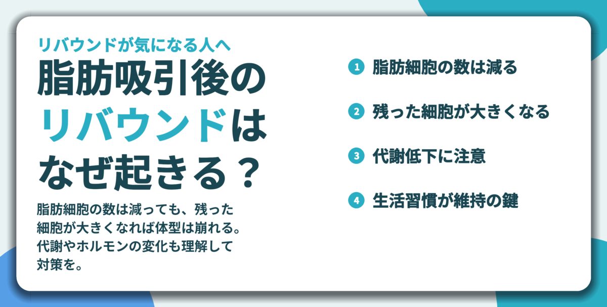 脂肪吸引後の リバウンドは なぜ起きる?。脂肪細胞の数は減る、残った細胞が大きくなる、代謝低下に注意、生活習慣が維持の鍵