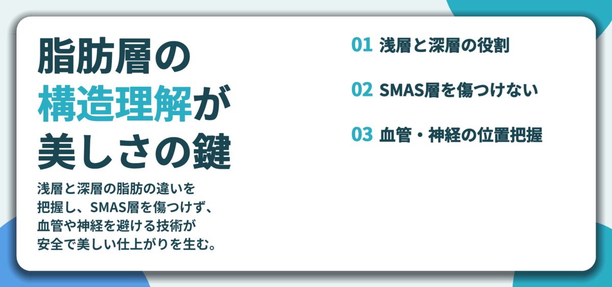 脂肪層の 構造理解が 美しさの鍵。浅層と深層の役割、SMAS層を傷つけない、血管・神経の位置把握
