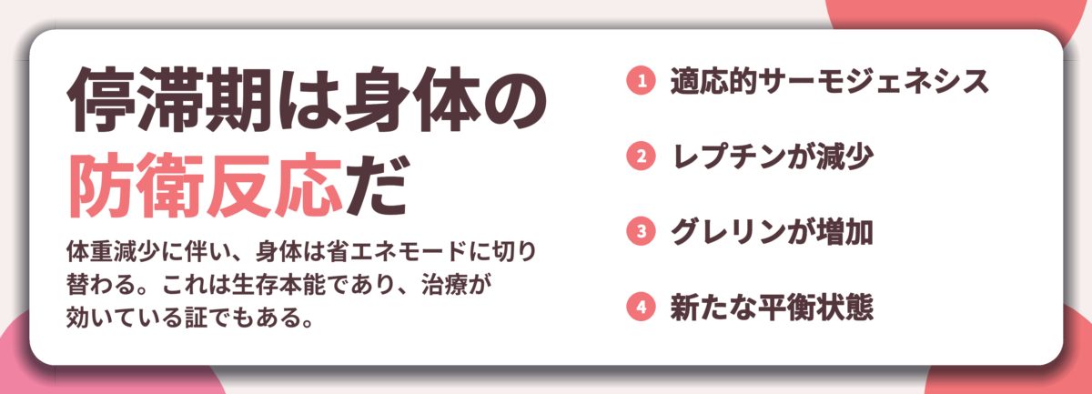 停滞期は身体の 防衛反応だ。適応的サーモジェネシス、レプチンが減少、グレリンが増加、新たな平衡状態