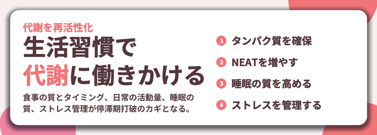 生活習慣で 代謝に働きかける。タンパク質を確保、NEATを増やす、睡眠の質を高める、ストレスを管理する
