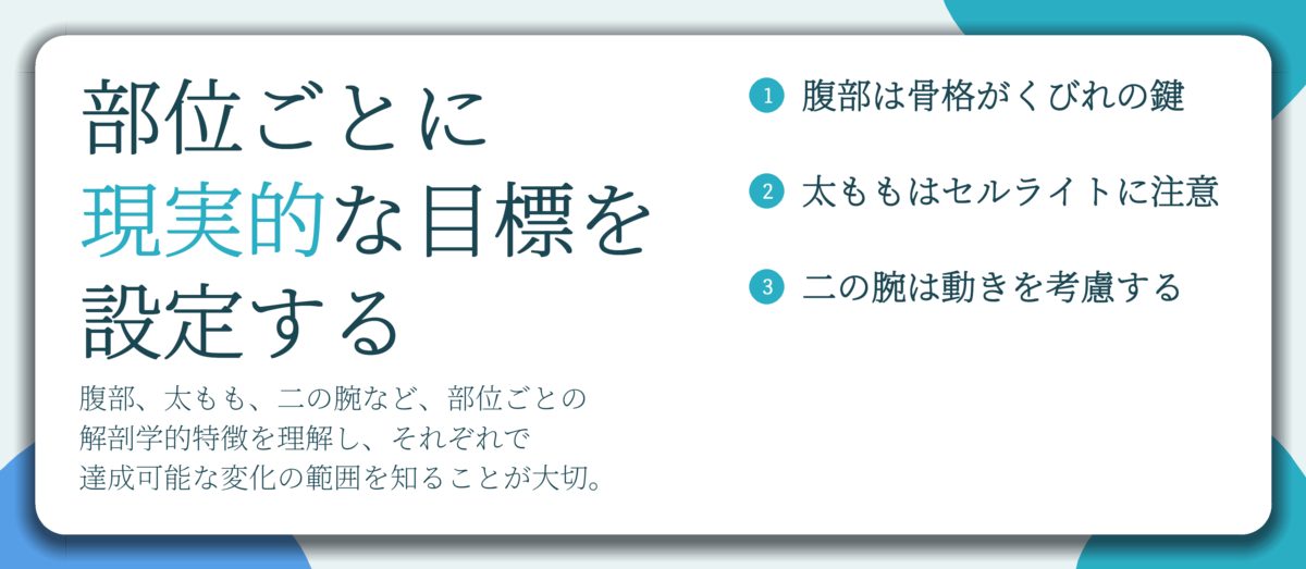 部位ごとに 現実的な目標を 設定する。腹部は骨格がくびれの鍵、太ももはセルライトに注意、二の腕は動きを考慮する