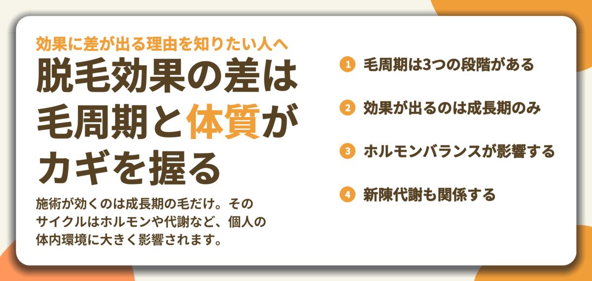 脱毛効果の差は 毛周期と体質が カギを握る。毛周期は3つの段階がある、効果が出るのは成長期のみ、ホルモンバランスが影響する、新陳代謝も関係する