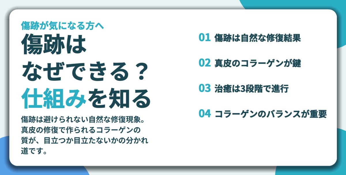 傷跡は なぜできる? 仕組みを知る。傷跡は自然な修復結果、真皮のコラーゲンが鍵、治癒は3段階で進行、コラーゲンのバランスが重要